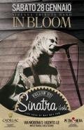 Gli In Bloom ripercorrono i Nirvana